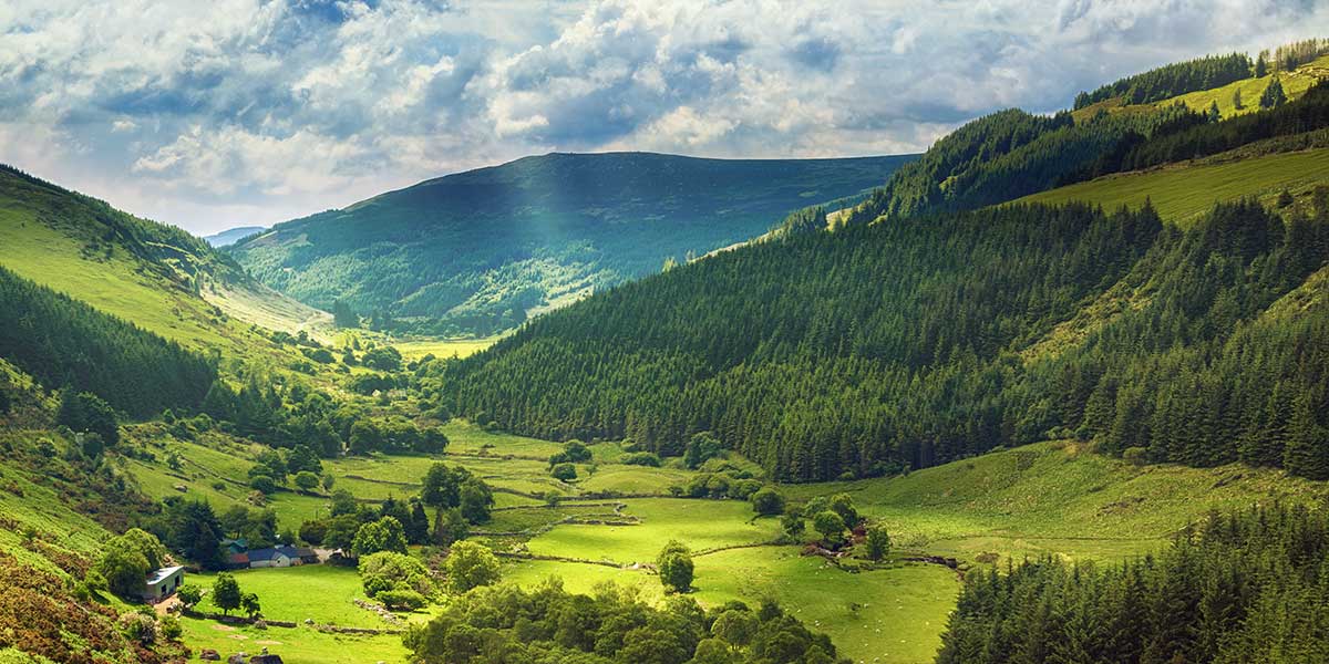 Горы поросшие лесом. Холмы поросшие лесом. Брей, Уиклоу, Ирландия. Green Valley.
